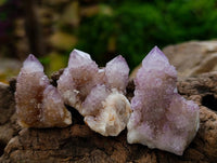 Natural Amethyst Spirit Quartz Crystals x 35 From Boekenhouthoek, South Africa