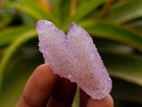 Natural Amethyst Spirit Quartz Crystals x 35 From Boekenhouthoek, South Africa