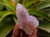 Natural Amethyst Spirit Quartz Crystals x 35 From Boekenhouthoek, South Africa