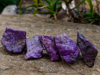 Natural Stichtite Cobbed Specimens x 35 From Barberton, South Africa