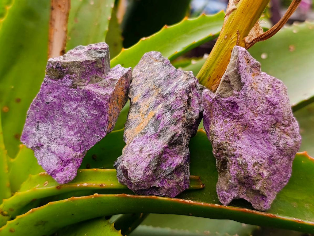 Natural Stichtite Cobbed Specimens x 35 From Barberton, South Africa - Toprock Gemstones and Minerals 