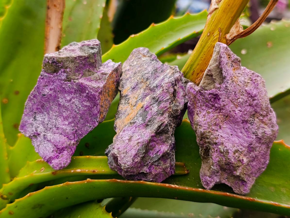 Natural Stichtite Cobbed Specimens x 35 From Barberton, South Africa - Toprock Gemstones and Minerals 