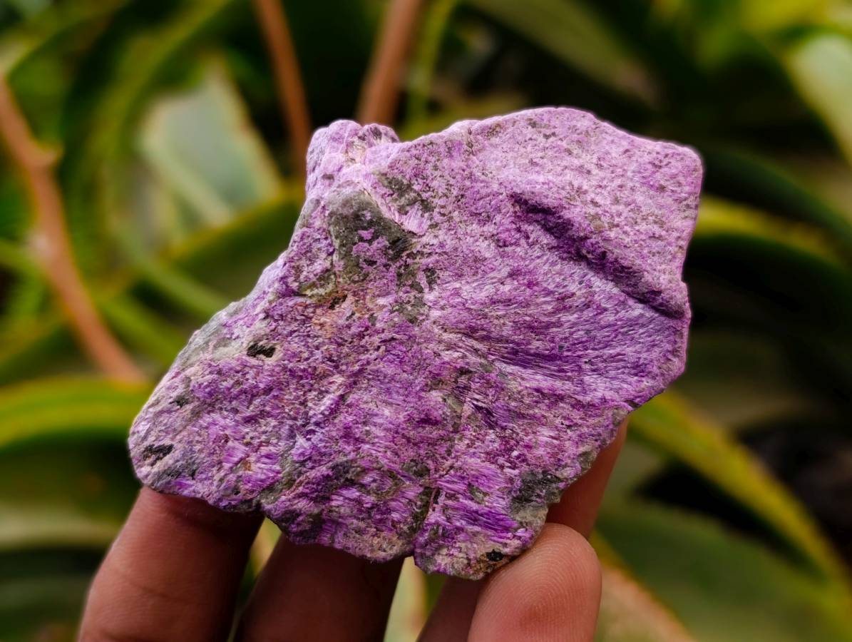 Natural Stichtite Cobbed Specimens x 35 From Barberton, South Africa - Toprock Gemstones and Minerals 