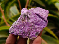 Natural Stichtite Cobbed Specimens x 35 From Barberton, South Africa
