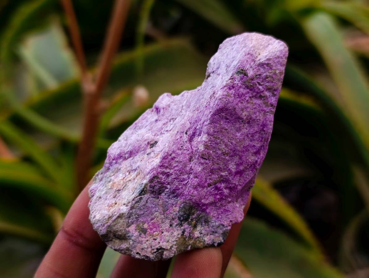 Natural Stichtite Cobbed Specimens x 35 From Barberton, South Africa - Toprock Gemstones and Minerals 