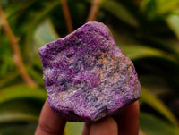 Natural Stichtite Cobbed Specimens x 35 From Barberton, South Africa