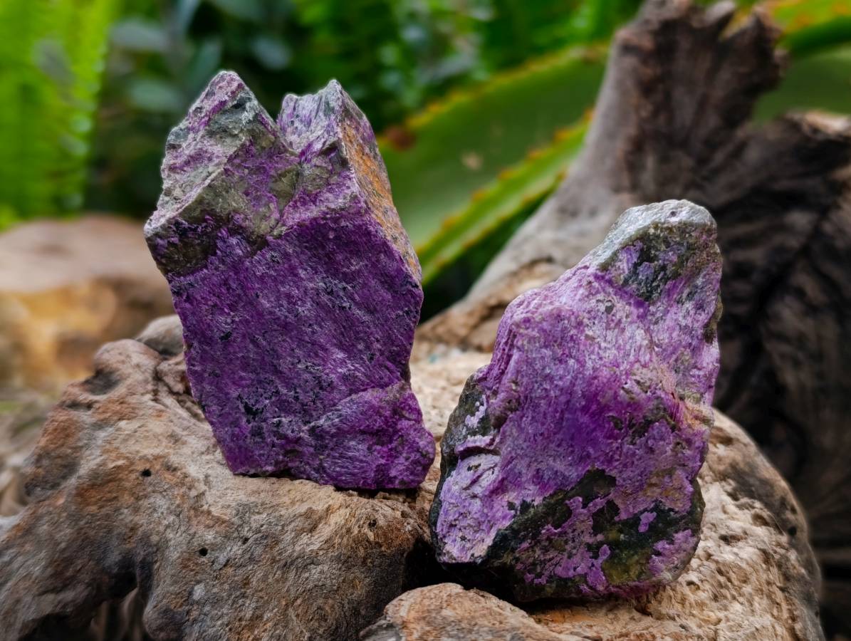 Natural Stichtite Cobbed Specimens x 35 From Barberton, South Africa - Toprock Gemstones and Minerals 
