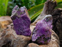 Natural Stichtite Cobbed Specimens x 35 From Barberton, South Africa