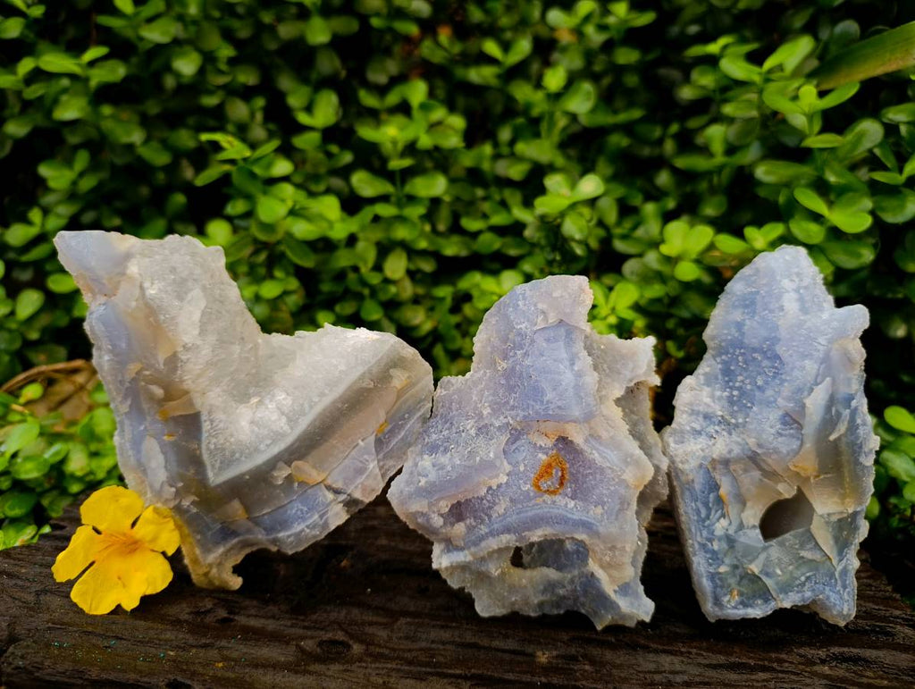 Natural Etched Blue Chalcedony Geodes x 3 From Nsanje, Malawi - Toprock Gemstones and Minerals 