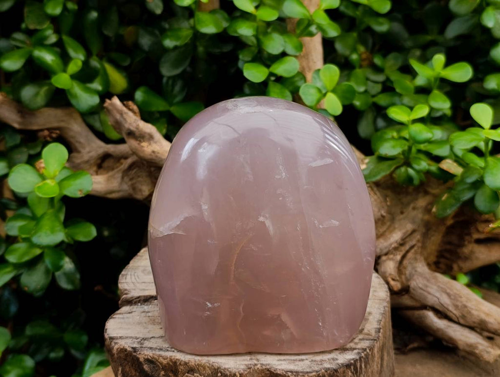 Polished Rose Quartz Standing Free Form x 1 From Madagascar - Toprock Gemstones and Minerals 