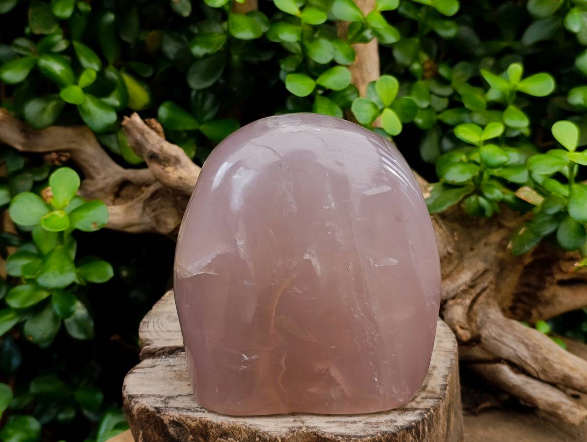 Polished Rose Quartz Standing Free Form x 1 From Madagascar - Toprock Gemstones and Minerals 