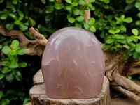 Polished Rose Quartz Standing Free Form x 1 From Madagascar