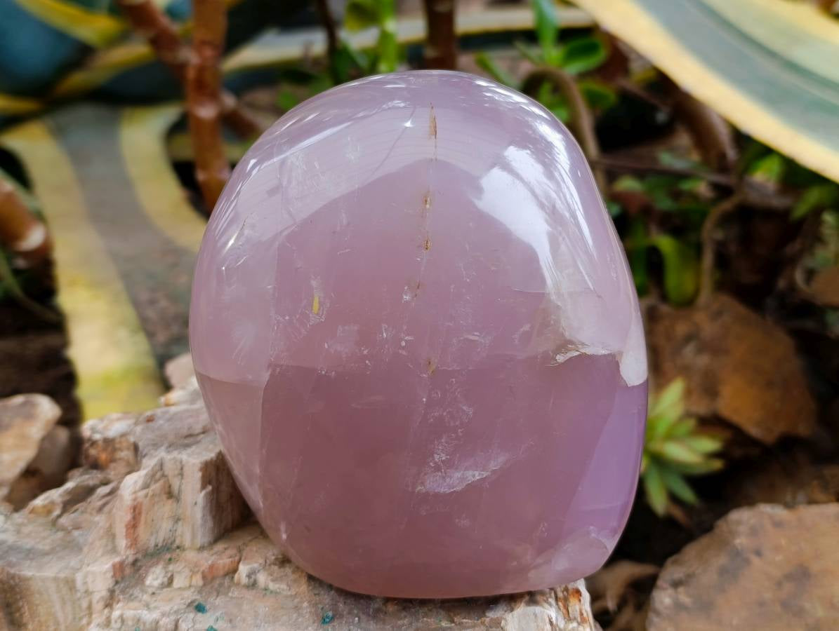 Polished Rose Quartz Standing Free Form x 1 From Madagascar - Toprock Gemstones and Minerals 