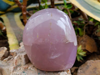 Polished Rose Quartz Standing Free Form x 1 From Madagascar