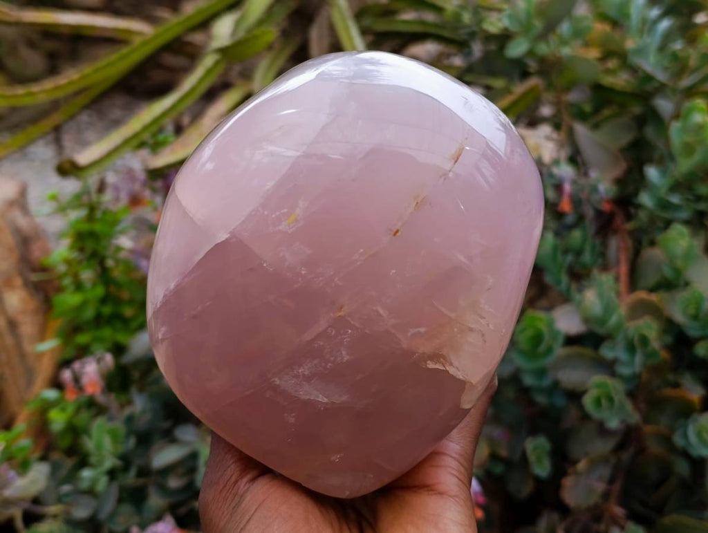 Polished Rose Quartz Standing Free Form x 1 From Madagascar - Toprock Gemstones and Minerals 