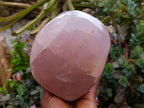 Polished Rose Quartz Standing Free Form x 1 From Madagascar - Toprock Gemstones and Minerals 