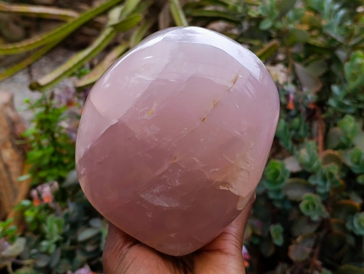 Polished Rose Quartz Standing Free Form x 1 From Madagascar - Toprock Gemstones and Minerals 