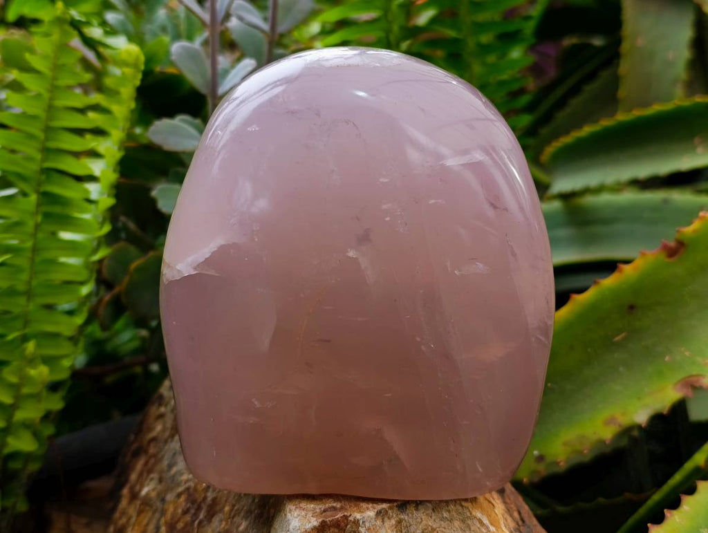 Polished Rose Quartz Standing Free Form x 1 From Madagascar - Toprock Gemstones and Minerals 