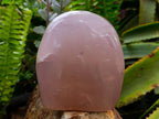 Polished Rose Quartz Standing Free Form x 1 From Madagascar - Toprock Gemstones and Minerals 