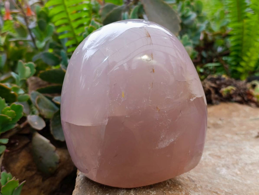 Polished Rose Quartz Standing Free Form x 1 From Madagascar - Toprock Gemstones and Minerals 