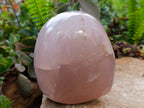Polished Rose Quartz Standing Free Form x 1 From Madagascar - Toprock Gemstones and Minerals 