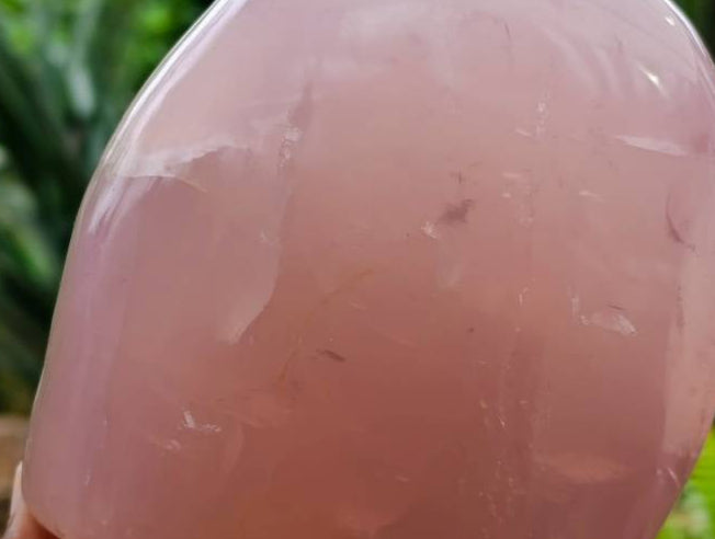 Polished Rose Quartz Standing Free Form x 1 From Madagascar - Toprock Gemstones and Minerals 
