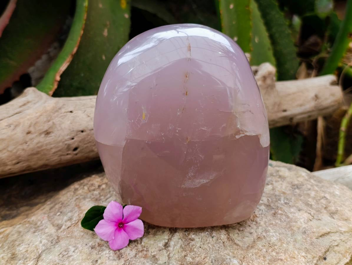 Polished Rose Quartz Standing Free Form x 1 From Madagascar - Toprock Gemstones and Minerals 