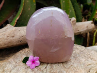 Polished Rose Quartz Standing Free Form x 1 From Madagascar