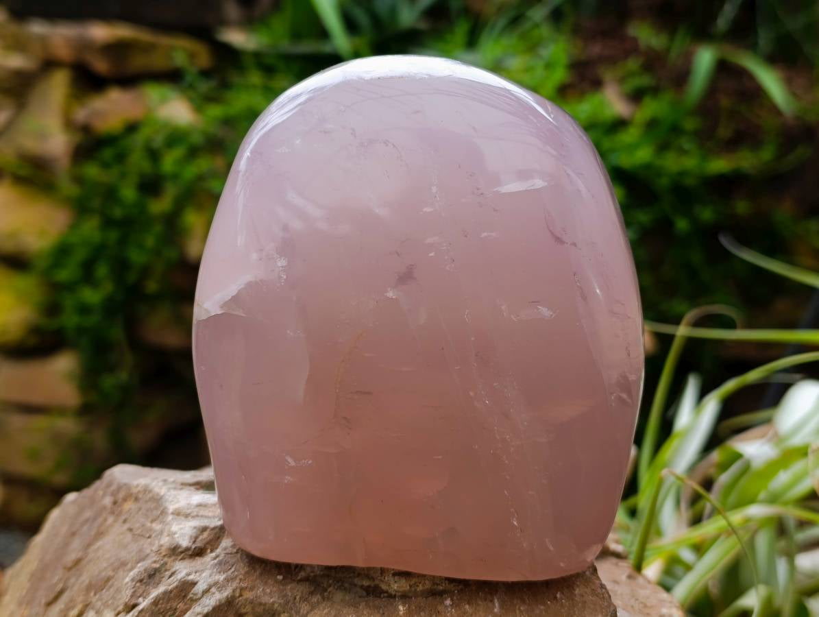 Polished Rose Quartz Standing Free Form x 1 From Madagascar - Toprock Gemstones and Minerals 