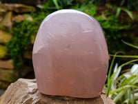 Polished Rose Quartz Standing Free Form x 1 From Madagascar
