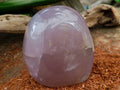 Polished Rose Quartz Standing Free Form x 1 From Madagascar - Toprock Gemstones and Minerals 
