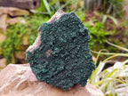 Natural Crystalline Malachite Specimens x 2 From Tenke Fungurume, Congo - Toprock Gemstones and Minerals 