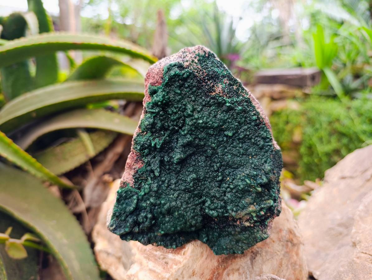 Natural Crystalline Malachite Specimens x 2 From Tenke Fungurume, Congo - Toprock Gemstones and Minerals 
