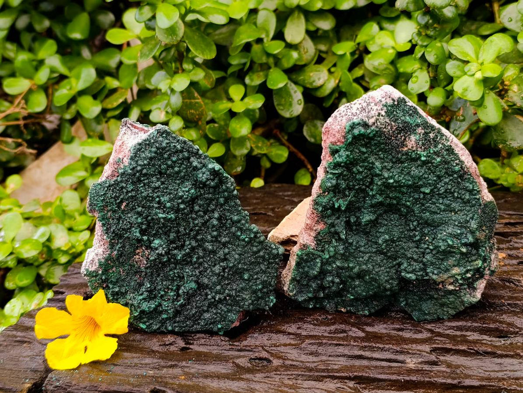 Natural Crystalline Malachite Specimens x 2 From Tenke Fungurume, Congo - Toprock Gemstones and Minerals 