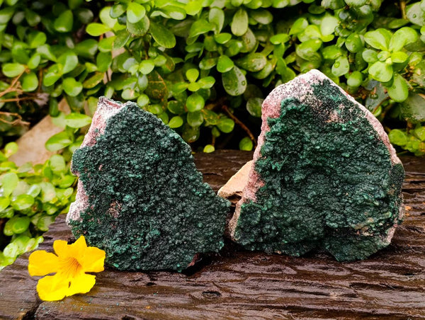 Natural Crystalline Malachite Specimens x 2 From Tenke Fungurume, Congo
