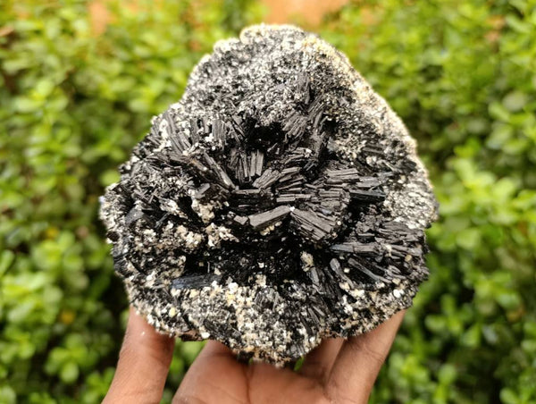 Natural Schorl Black Tourmaline with Orthoclase x 1 From Erongo, Namibia