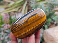 Polished Golden Tigers Eye With Banded Tiger Iron Free Forms x 6 From South Africa