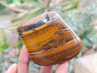 Polished Golden Tigers Eye With Banded Tiger Iron Free Forms x 6 From South Africa