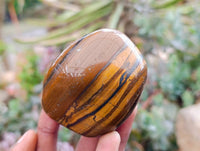 Polished Golden Tigers Eye With Banded Tiger Iron Free Forms x 6 From South Africa