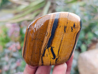 Polished Golden Tigers Eye With Banded Tiger Iron Free Forms x 6 From South Africa