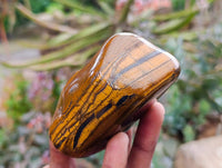 Polished Golden Tigers Eye With Banded Tiger Iron Free Forms x 6 From South Africa