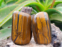 Polished Golden Tigers Eye With Banded Tiger Iron Free Forms x 6 From South Africa