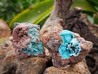 Natural Drusy Coated Chrysocolla With Malachite Specimens x 6 From Lupoto Mine, Congo