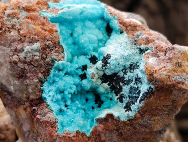Natural Drusy Coated Chrysocolla With Malachite Specimens x 6 From Lupoto Mine, Congo