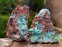Natural Drusy Coated Chrysocolla With Malachite Specimens x 6 From Lupoto Mine, Congo