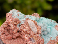 Natural Drusy Coated Chrysocolla With Malachite Specimens x 6 From Lupoto Mine, Congo