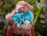 Natural Drusy Coated Chrysocolla With Malachite Specimens x 6 From Lupoto Mine, Congo