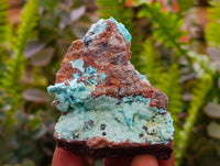 Natural Drusy Coated Chrysocolla With Malachite Specimens x 6 From Lupoto Mine, Congo