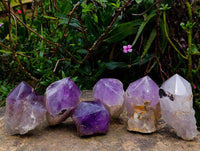 Polished Jacaranda Amethyst Quartz Crystals x 6 From Mumbwa, Zambia