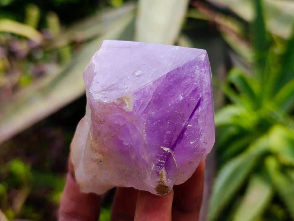 Polished Jacaranda Amethyst Quartz Crystals x 6 From Mumbwa, Zambia - Toprock Gemstones and Minerals 